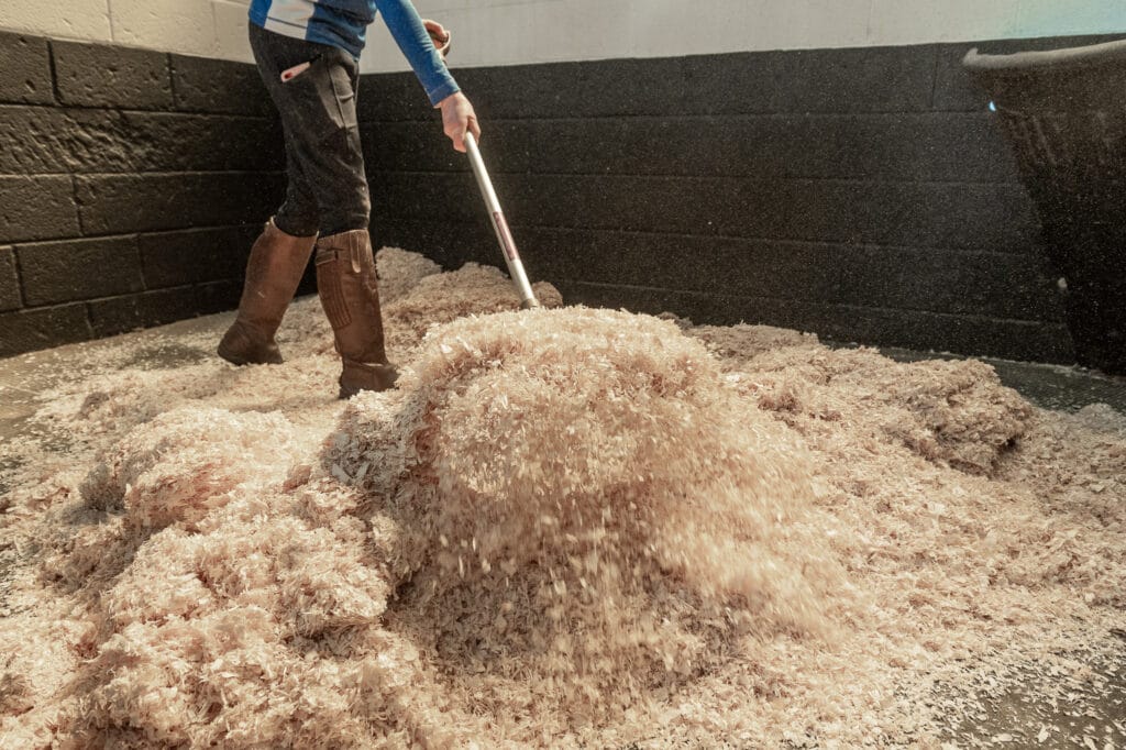 Horse bedding being changed in a stable