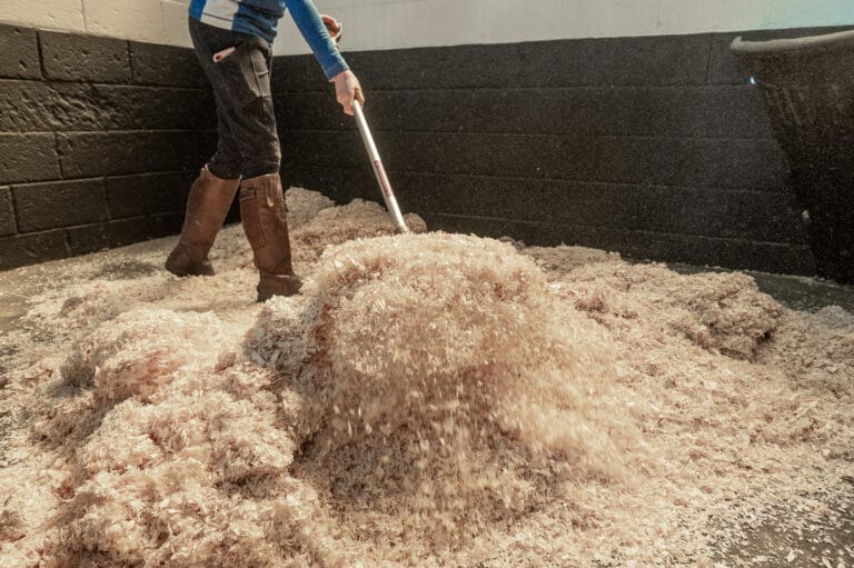 Horse bedding being changed in a stable